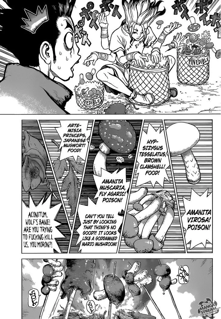 Dr. Stone - Chapter 2 - Page 4