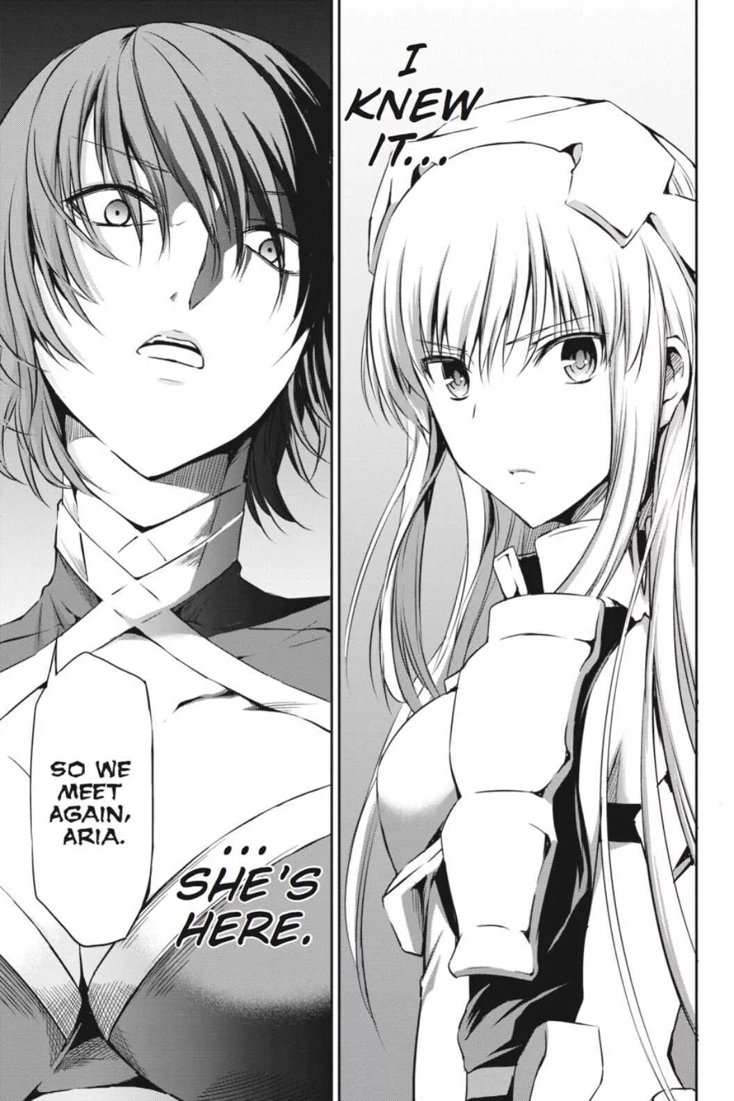 Dungeon ni Deai o Motomeru no wa Machigatte iru darou ka Gaiden - Sword Oratoria - Chapter 21 - Page 47