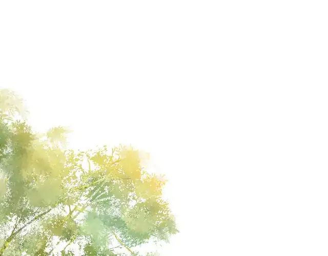 Max level green tea transmigrates into little pitiful one - Chapter 0 - Page 2