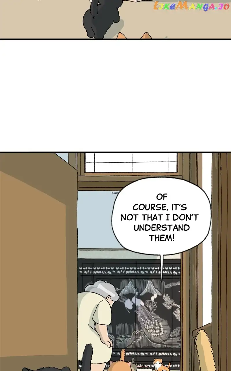 Tata The Cat - Chapter 5 - Page 6