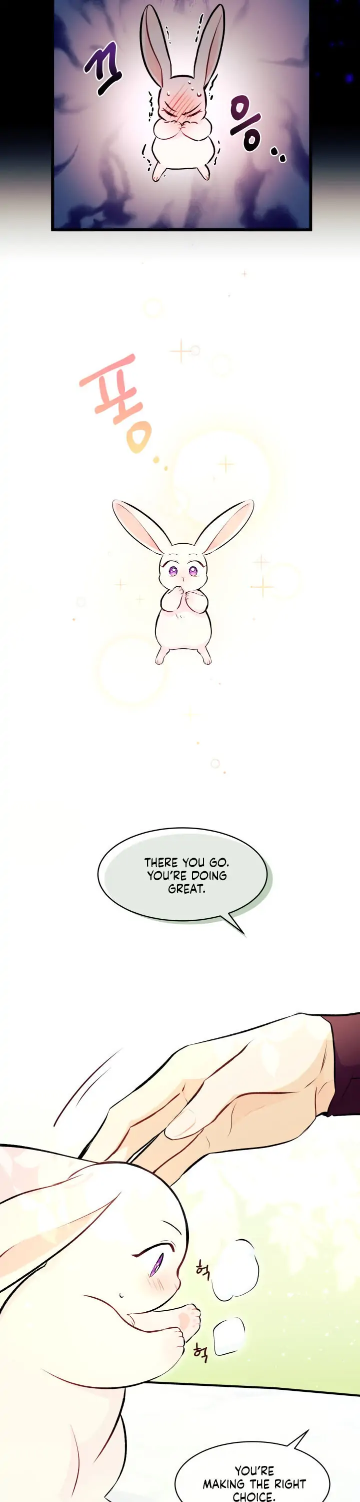 The Symbiotic Relationship Between A Rabbit And A Black Panther [ Sugar Babies ] - Chapter 6 - Page 7