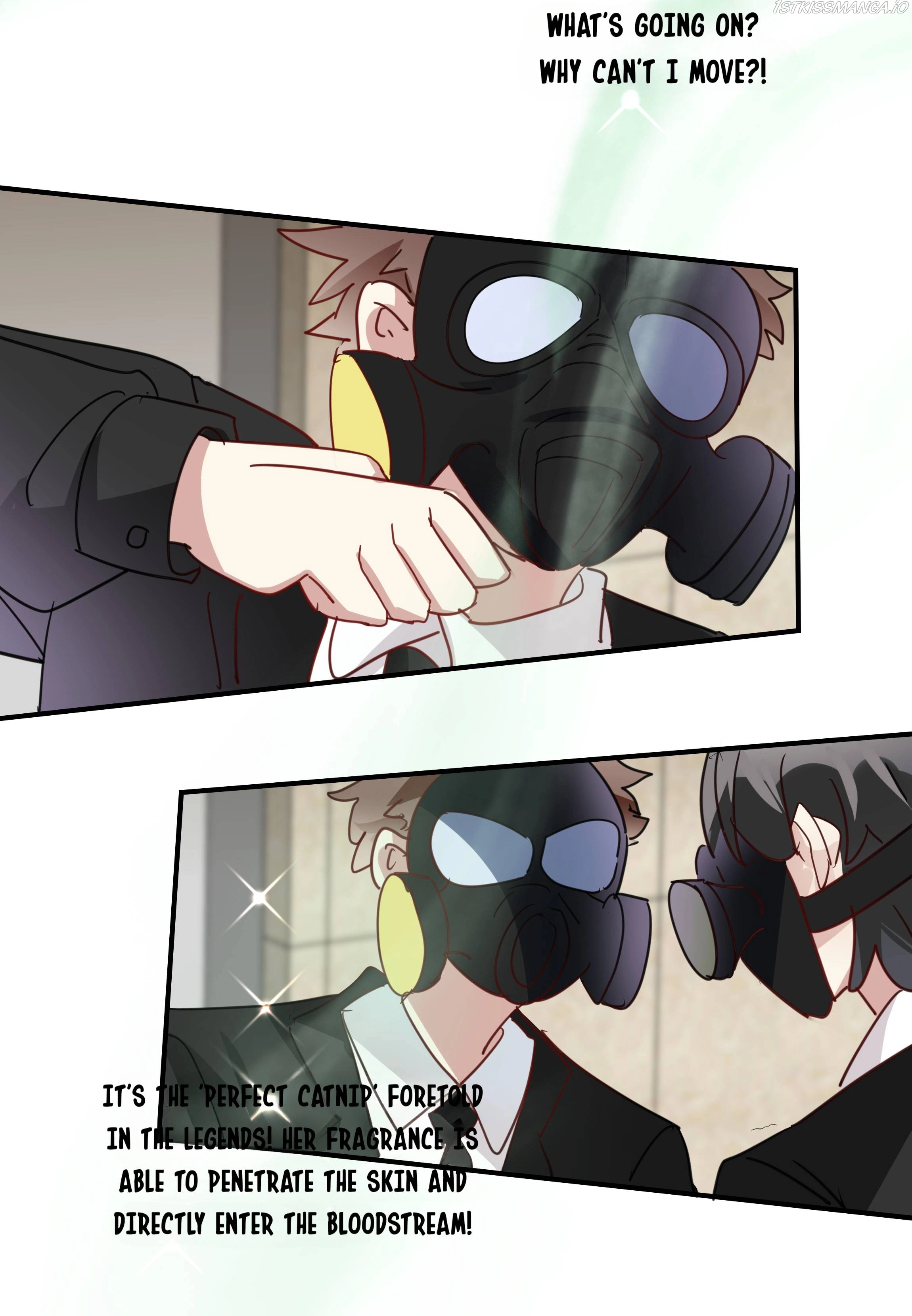 You Are My Catnip - Chapter 52 - Page 25